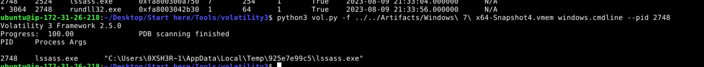 cmdline output showing full path of malicious process